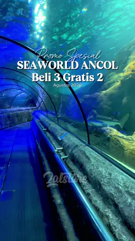 Pesen tiket Seaworld Ancol jadi lebih hemat kalau kamu pesen tiketnya dari TikTok, yuk buruan pesan sekarang dan dapatkan promo nya #seaworld #seaworldancol #seaworldancoljakarta #promoseaworld #nexseaworld 