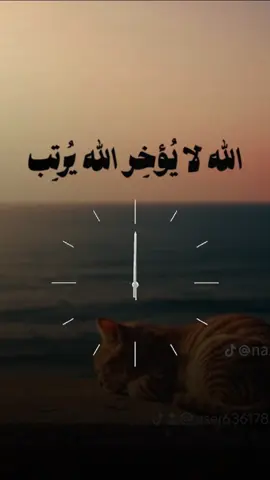 صدقَت، يأتي كل شيء في توقيته الذي يراه الله مناسبًا لنا وتجهله محدودية بصيرتنا، فكل شيء بميعاد دقيق بحكمة بالغة. #اللهم_صلي_على_نبينا_محمد #الشعب_الصيني_ماله_حل😂😂 #اكسبلورexplore #المغرب🇲🇦تونس🇹🇳الجزائر🇩🇿 #السعودية_الكويت_مصر_العراق_لبنان 