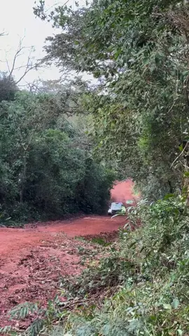 Follow @zwngato for more Rally content. 🏎️💨 #WRC #WorldRallyChampionship #WRC2026 #Rally #Gravel