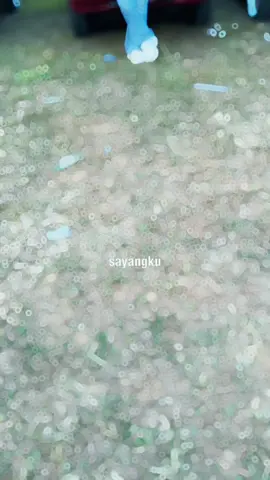 #CapCut #fypシ゚viral #berandatiktok #trendingtiktok #suzukiindonesia 