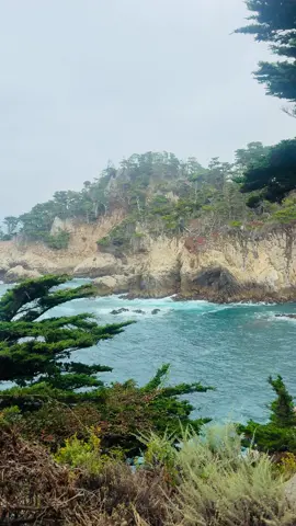 #monterrey #pointlobos 
