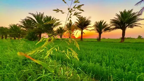 #تصويري_احترافي_الاجواء👌🏻🕊😴 #يستاهل_الترند🤙❤️ #شلون_الدقه #ليك______🖤___متابعه____اكسبلووور 