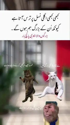 #viral #funnymemes #edit #fyp #meme 