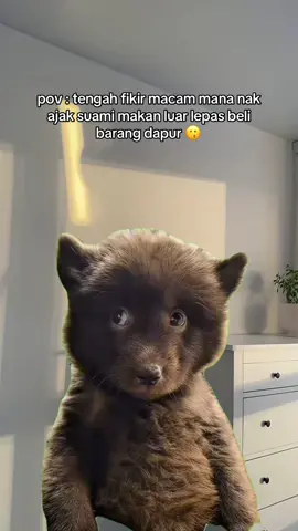 masalahnya kita dah penat shooping tadi kan , so apa kata makan luar je senang . betul takkkk ? 😗😗😗😗 #Meme #MemeCut 
