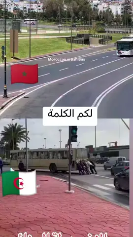 #الجزائر🇩🇿_تونس🇹🇳_المغرب🇲🇦 #مقارنة #النقل #حافلات 