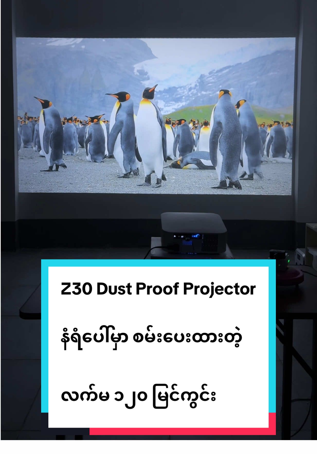 Replying to @maylay5353 Z30 Projector လေးရဲ့ ရုပ်ထွက်ကို နံပေါ်မှာပဲ စမ်းပေးထားပါတယ်ခဗျ... #projector #Z30 #dustproof #Homecinema #KTV 