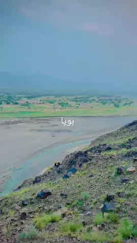 #foryou #viral #shah Zaib#foryou #viral 