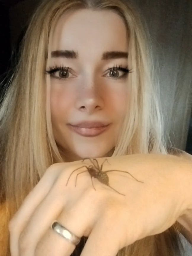 😅🕷️❤️❤️❤️ #spider #drawing #pająk #długopis #rysunek
