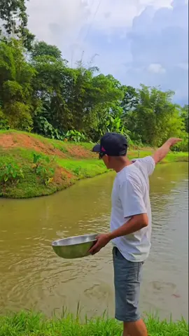 Asi era torenza  cuando todo epenas comenzaba nadie ve los años de trabajo los errores la constancia  que hay detras de un sueño #torenza #historiadetorenza #emprendimiento #constancia #amazonia_ecuador🇪🇨 