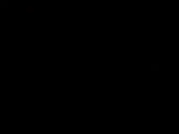 دیلێخت 