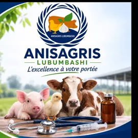 anisagris lubumbashi, l’excellence à votre portée  #toilletage #vétérinaire #vaccination #soinsveterinaires #hautkatanga 
