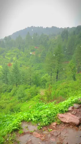 Moon soon heay spell in my village ❤️‍🩹🌧@Rᴇʜᴍᴀɴ  Eᴅɪᴛs 🌺 @REHMAN JADOON 🚩 #abbottabad #hazarawal #hazara #foryoupage 