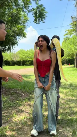 Parte 1 de Andrea con la 🐍, será que si aceptara? 
