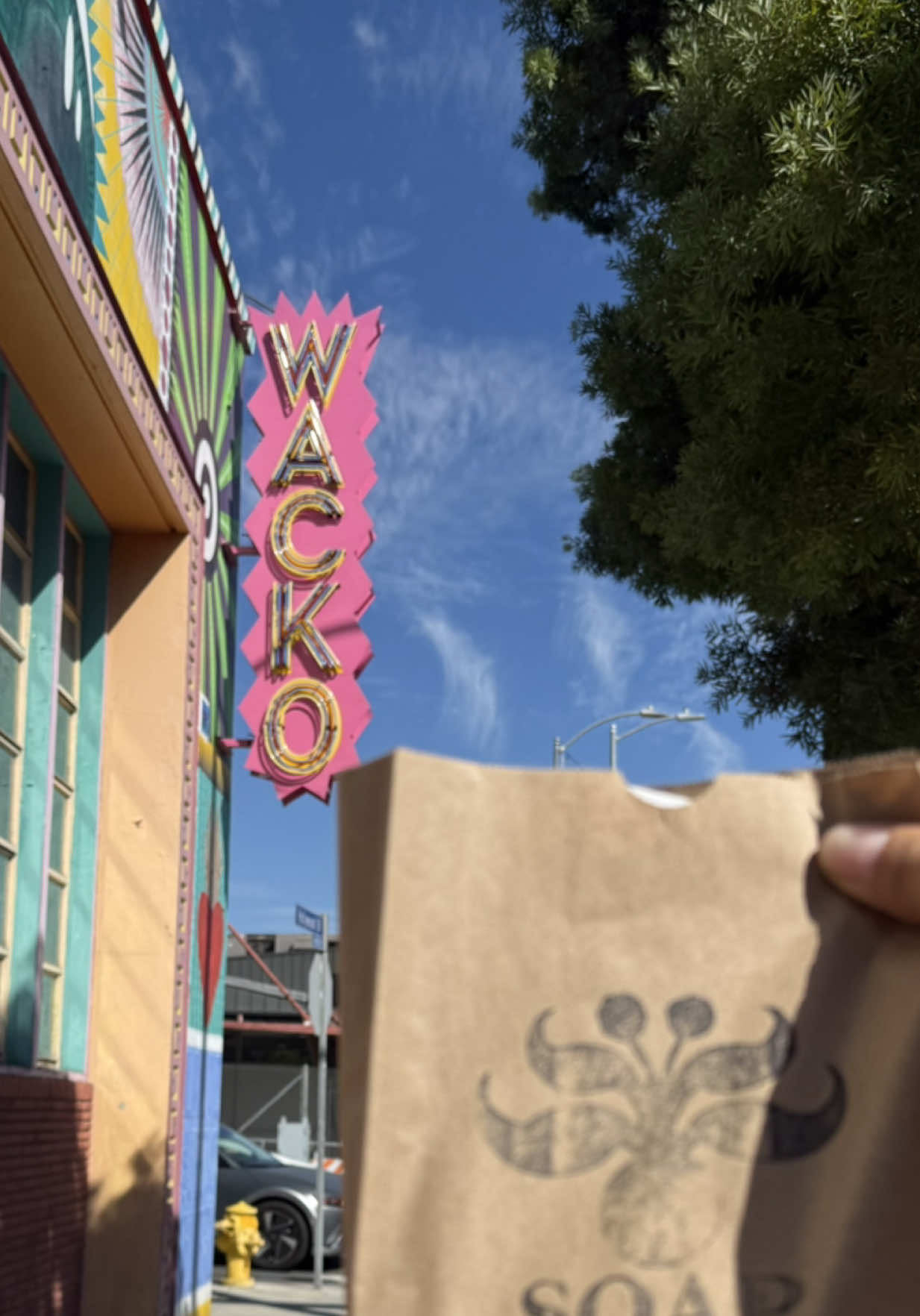 I just can’t get enough of these cuties so I stopped by @Soap Plant and Wacko for some more to add to my collection ! @sonnyangel.usa #sonnyangels #sonnyangeltok #soapplantwacko #collection #blindboxopening 