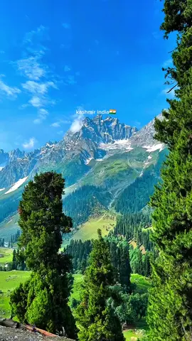 MasyaAllah Kashmir🍃🕊️✨ #kashmir #indiasong #travel #fyp #fypシ 