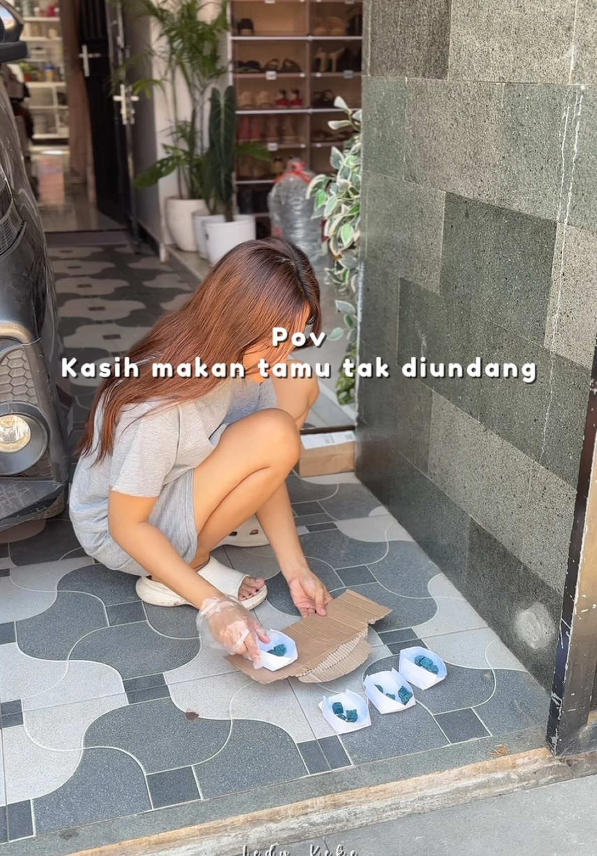 Kasih makan tikus si tamu tak diundang✅🤣 #racuntikustanpabau #ratkiller #umpantikus #racuntikusmatikering #pembasmitikus 