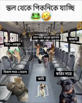 🐸🤣 #bdtiktokofficial #foryoupage #foryou #viral #tiktok @TikTok @For You @TikTok Bangladesh 
