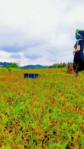 Đây là đê mam của tôi #boloc24hxaykenh #xuhuong  #vonglacloxo #tapluyen 