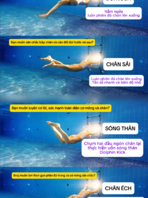 Phần 26: Tập luyện bơi lội đúng kỹ thuật không chỉ giúp bơi nhanh hơn mà còn mang lại vóc dáng thon gọn săn chắc. Dù là đập chân ngửa, chân sải, sóng thân hay chân ếch, hãy chú ý điều chỉnh nhịp đập và biên độ phù hợp với từng mục tiêu cơ thể để đạt hiệu quả tối đa. #kythuatboi #swimming #swimmingtips #hocboi #boiloi #kythuatboiech #dapchanboiech #dayboi #hocboionline #meohocboi