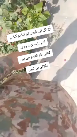#foryou #foryoupage #pakarmy #Unfreezmyaccount #viralvideo 