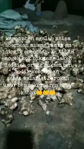 malam gez