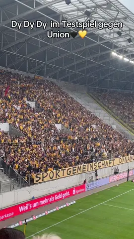 Macht gerne das plus weg #dynamo #unionberlin #union #dynamodresden #hertha 