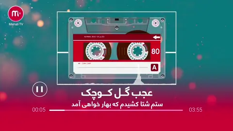 #fyp #foryou #foryoupage #Mahali #تاجیک_هزاره_ازبک_پشتون_ترکمن🇦🇫 