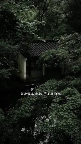 Nhạc trung này cuốn quá nè..!!#nhachaymoingay #nhactamtrang #tamtrang #xh 