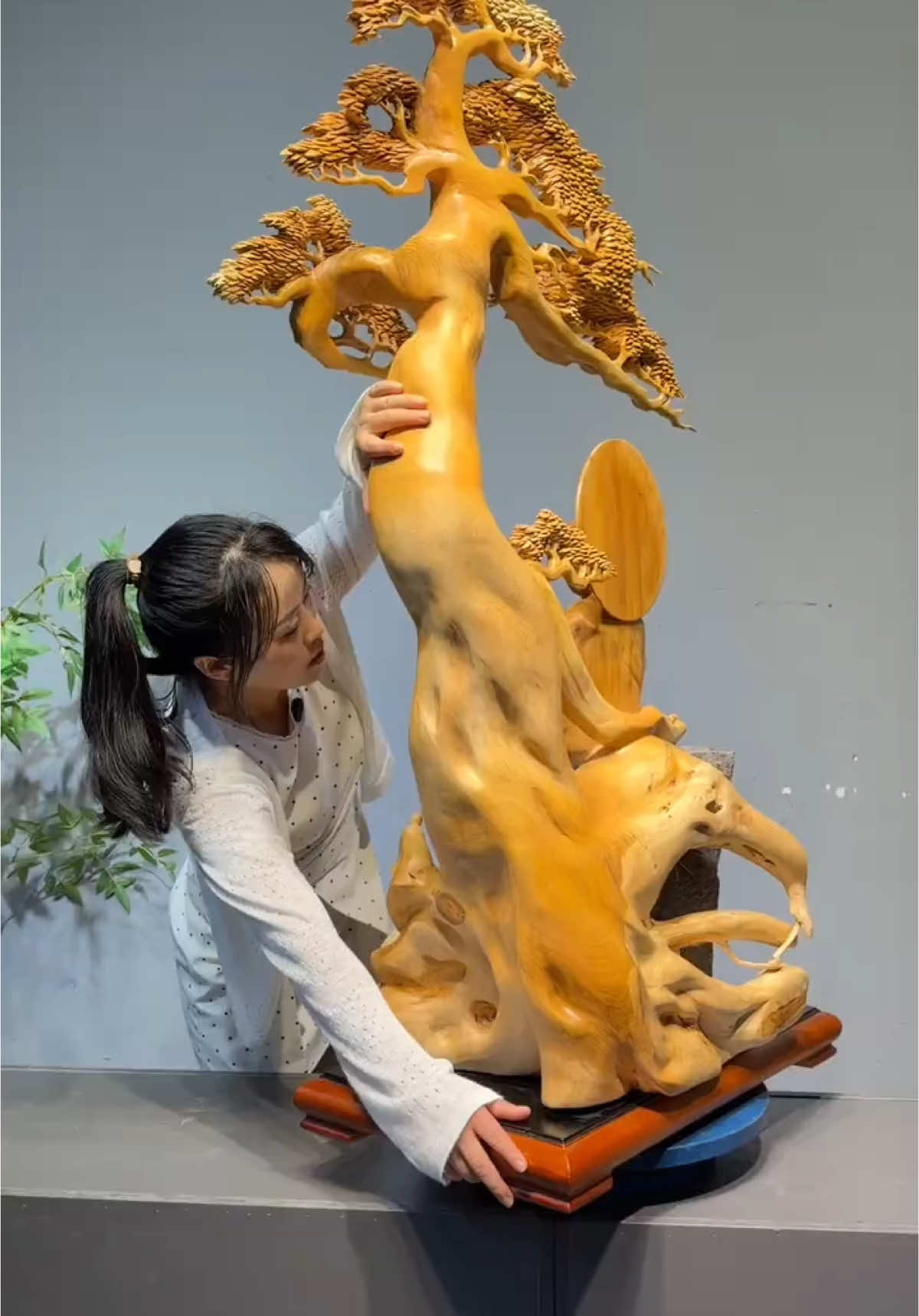 不负遇见