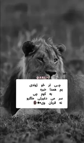 #foryoustudio💯 #voiwesproblum😥 #foryoustudio💯 #unfreezeـmyـAcount🙏 #foryoustudio💯 
