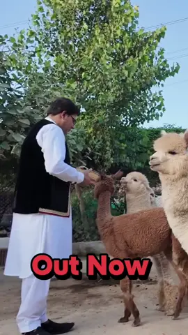 Karan Khan | Ahangar Tapaezy | Out Now  #ahangartapaezy #Ahangaralbum #ahangaralbumnewsong2026 #outnow #forfullsongwatchmyyoutubechannel 