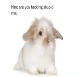 🐰  #bunny #bunnyedit #me #alightmotion #edit 