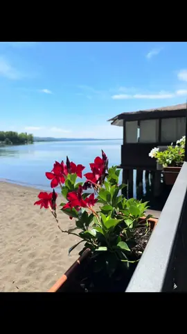 Weekend in relax ⛱️🥰#piscina #weekend #agriturismo #spiagge #lago 