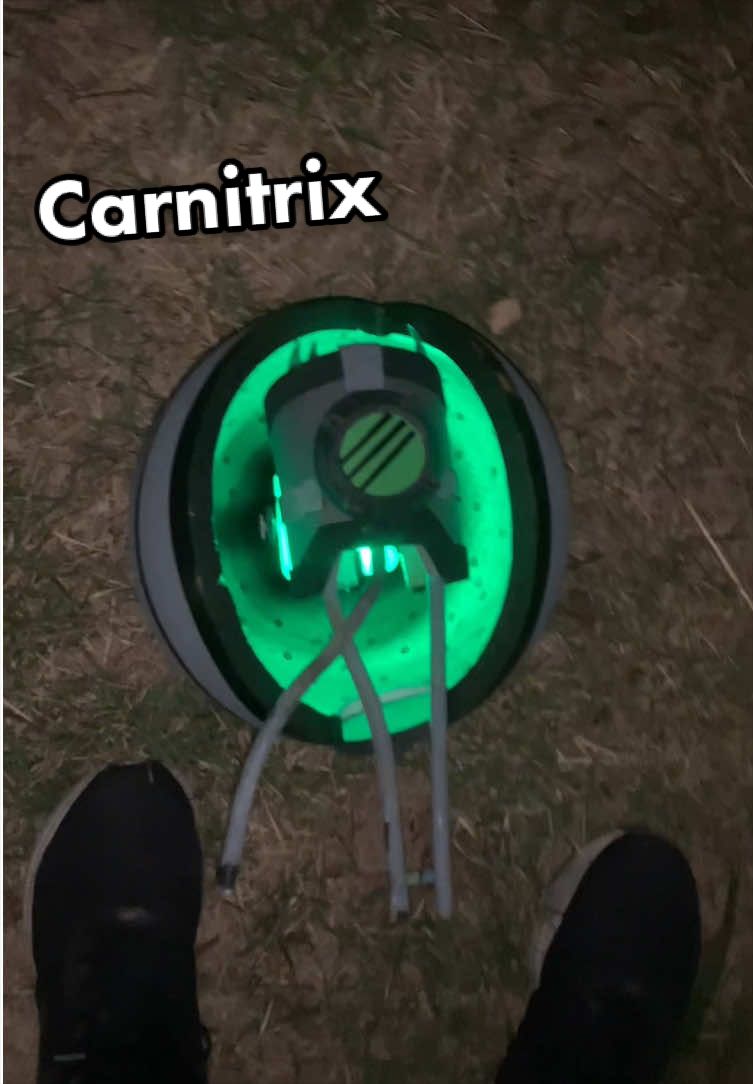 O BEN 10 ACHANDO CARNITRIX #ben10 #CARNITRIX #OMNITRIX 