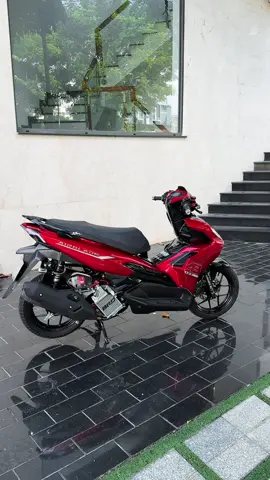 Phượng hoàng đỏ 🐦‍🔥