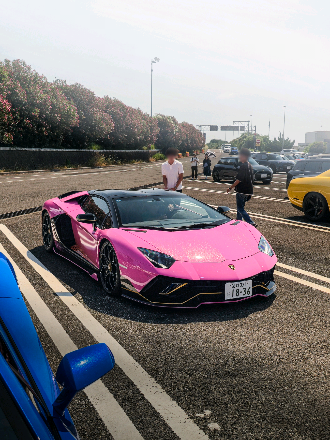lamborghini aventador ultimae 🩷 #lamborghini #aventador 
