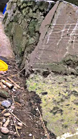 #fyp