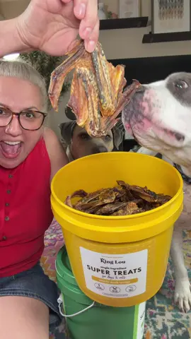 Tired of buying treats your dog sniffs once and walks away from? These single-ingredient duck treats keep snack time exciting without a bunch of unnecessary ingredients. 🦆🐶 #dogtreats #dogtok #dogmom #petproducts #tiktokshopsummersale