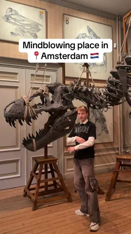 Have you visited 📍Art Zoo in Amsterdam 🇳🇱🦖 #amsterdam #amsterdamtravel #amsterdamguide #netherlands #amsterdamtips 