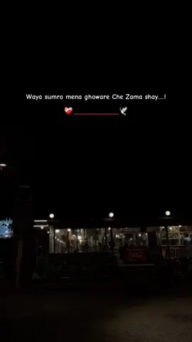 Sona mena darkam……..❤️‍🩹🕊️ ………..🫠🌸……… #creatorsearchinsights #fyppppppppppppppppppppppp #pashtopoetry #trendnow 
