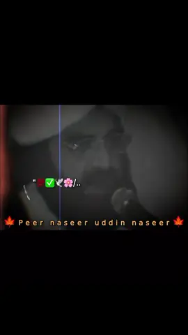 #peernaseerudinnaseerpoetry #peernaseerudinnaseer #golrasharif #fyp #foryoupage @TikTok 