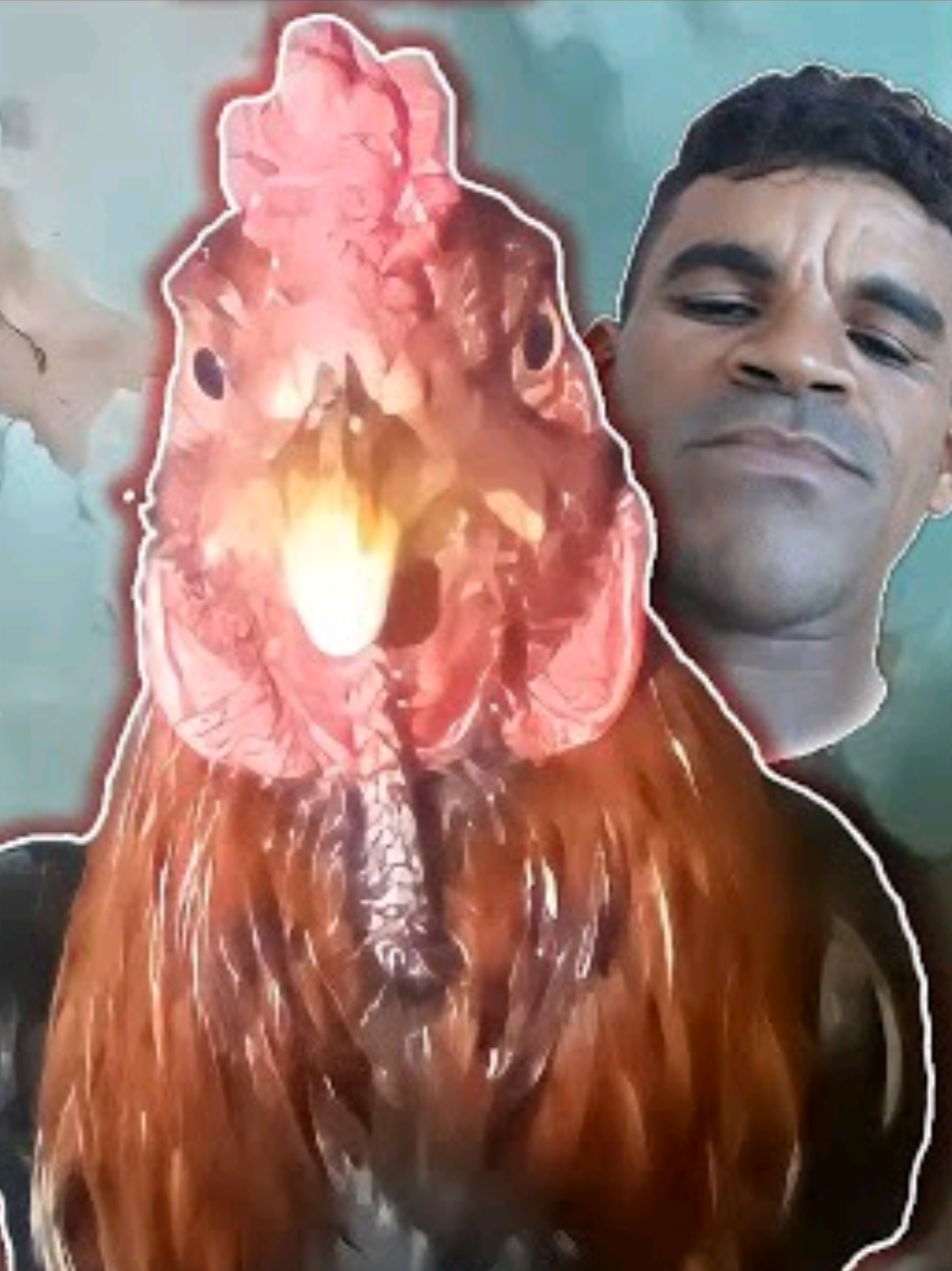 CHICKEN BEATBOX REMIX #chicken #beatbox #song #music #viral 