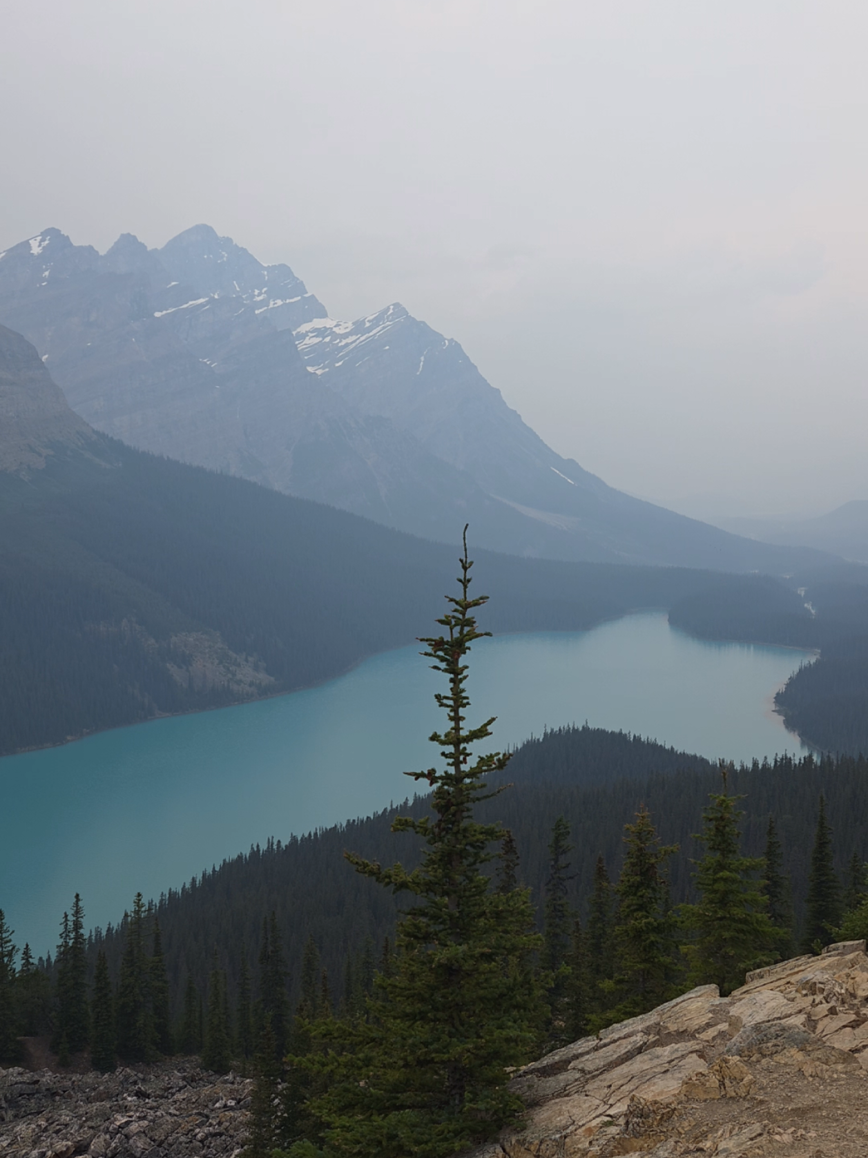 peyto lake 🥰🖤 #canada #banff #peytolake 