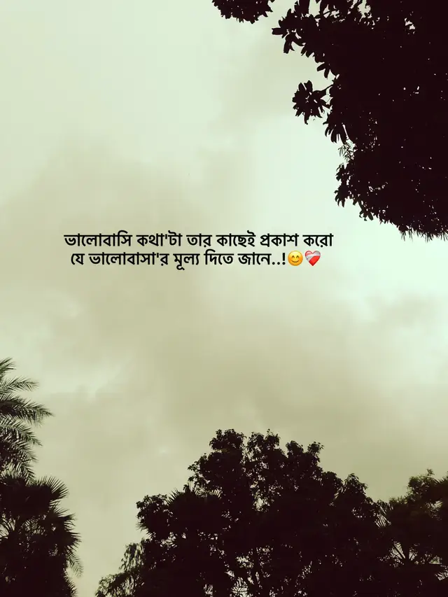 ভালোবাসি কথা'টা তার কাছেই প্রকাশ করো যে ভালোবাসার মূল্য দিতে জানে..! 😊❤️‍🩹