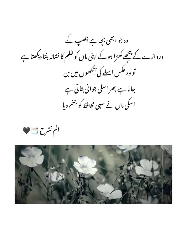 وہ جو ابھی بچہ ہے چھپ کے دروازے کے پیچھے کھڑا ہو کے اپنی ماں کو ظلم کا نشانہ بنتا دیکھتا ہے تو وہ عکس اسلے کی آنکھوں میں بن جاتا ہے پھر اسلی جوانی بتاتی ہے اسکی ماں نے سہی محافظ کو جنم دیا