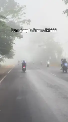 lumajang berkabut 🥶 #lumajang #berkabut #promomakanharian 
