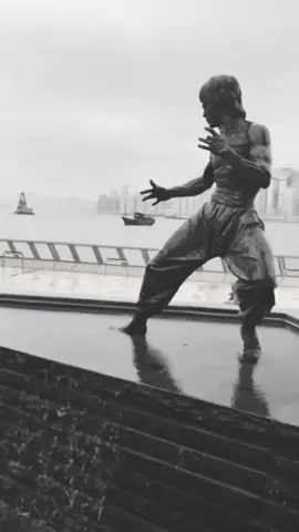 BruceLee😳💔
