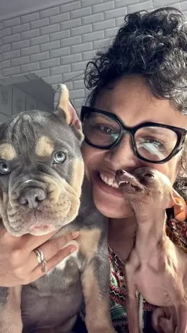 E hoje apresento a vocês o novo integrante da nossa casa kkkk ele se chama  hashi Raimundo sim gente ele é o melhor amigo e o companheiro do Yoshi kkkkk 