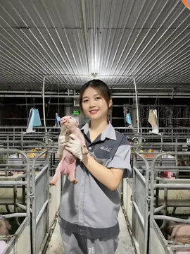 Thực tập greenfeed #greenfeedvietnam 