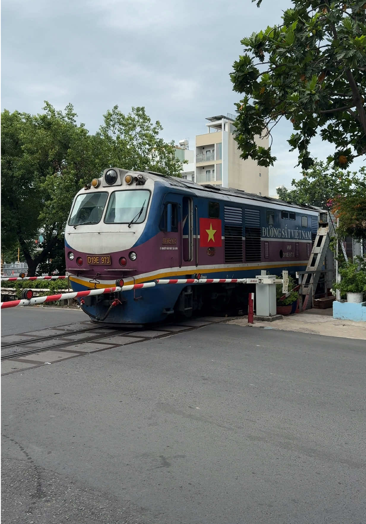 D19E-973 kéo tàu SE6 #train #railway #tauhoa #duongsatvietnam #quannguyenchannel 
